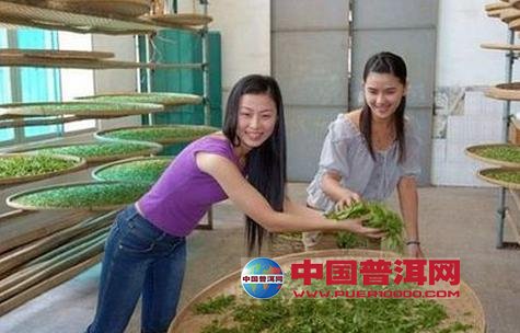 <u><a href='http://www.puer10000.com/puerzhishi/32854.html' target='_blank'>ն<u><a href='http://www.puer10000.com/puerzhishi/100997.html' target='_blank'></a></u></a></u>