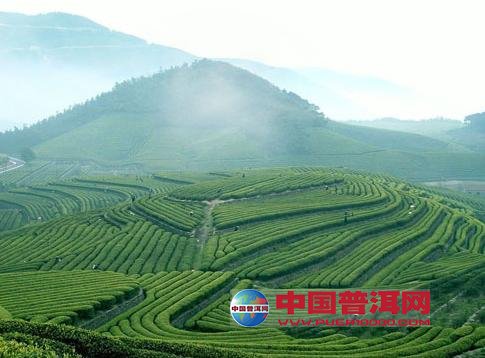 <u><a href='http://www.puer10000.com/puerzhishi/32854.html' target='_blank'>ն<u><a href='http://www.puer10000.com/puerzhishi/100997.html' target='_blank'></a></u></a></u>