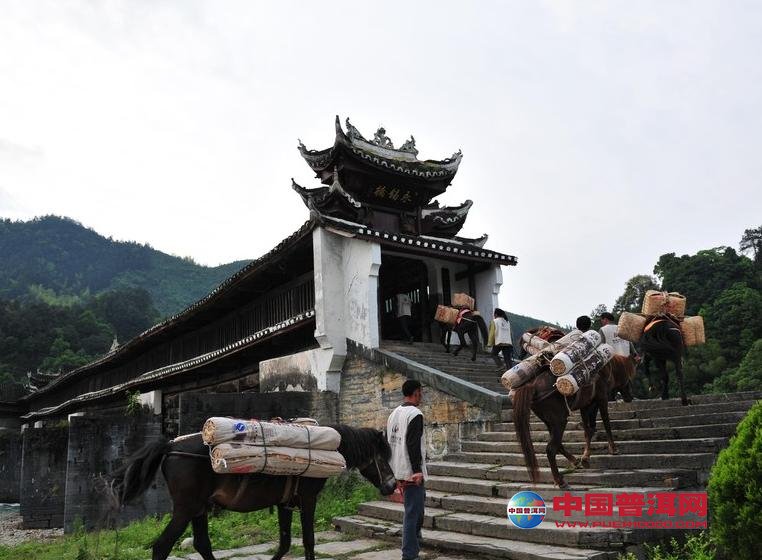 <u><a href='http://www.puer10000.com/puerzhishi/32854.html' target='_blank'>ն<u><a href='http://www.puer10000.com/puerzhishi/100997.html' target='_blank'></a></u></a></u>