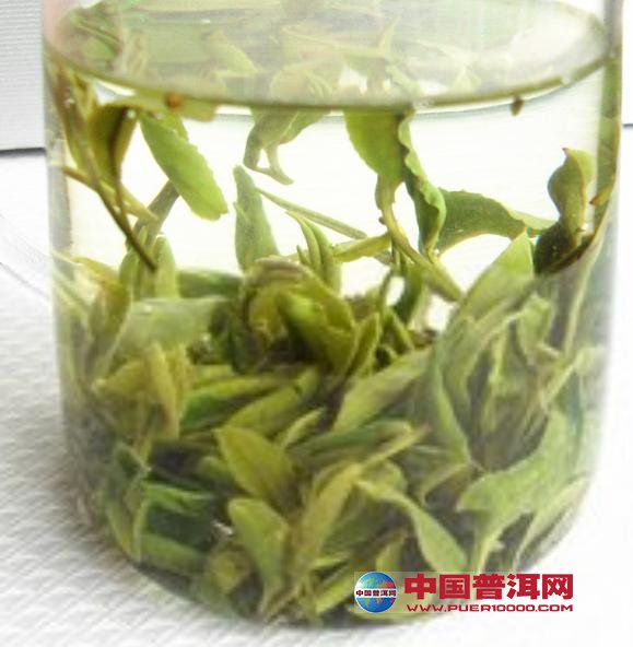 <u><a href='http://www.puer10000.com/puerzhishi/32854.html' target='_blank'>ն<u><a href='http://www.puer10000.com/puerzhishi/100997.html' target='_blank'></a></u></a></u>