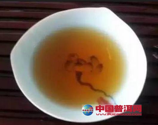 <u><a href='http://www.puer10000.com/puerzhishi/32854.html' target='_blank'>ն<u><a href='http://www.puer10000.com/puerzhishi/100997.html' target='_blank'></a></u></a></u>