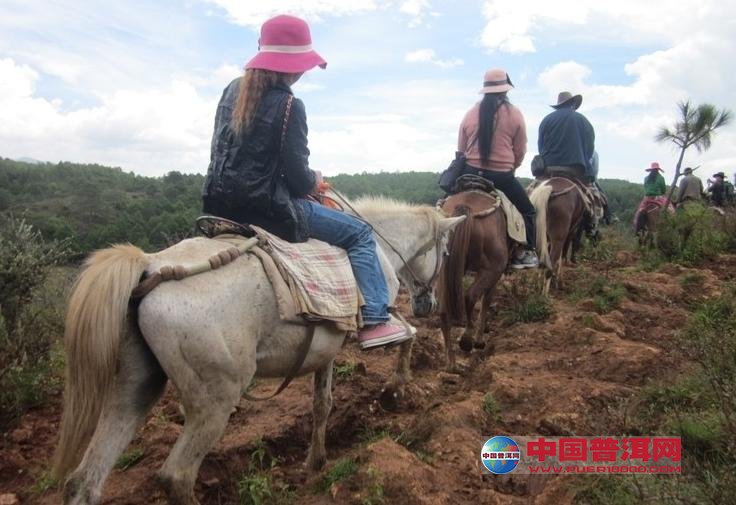 <u><a href='http://www.puer10000.com/puerzhishi/32854.html' target='_blank'>ն<u><a href='http://www.puer10000.com/puerzhishi/100997.html' target='_blank'></a></u></a></u>