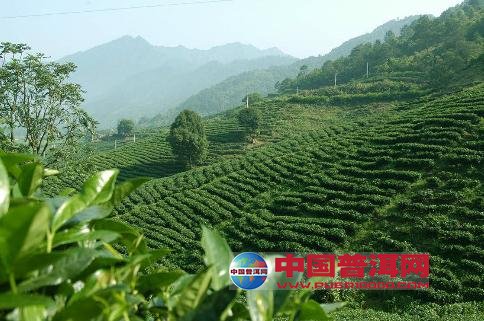 <u><a href='http://www.puer10000.com/puerzhishi/32854.html' target='_blank'>ն<u><a href='http://www.puer10000.com/puerzhishi/100997.html' target='_blank'></a></u></a></u>