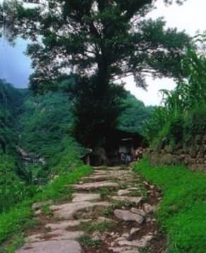 <u><a href='http://www.puer10000.com/puerzhishi/32854.html' target='_blank'>普洱<u><a href='http://www.puer10000.com/puerzhishi/100997.html' target='_blank'>茶</a></u></a></u>