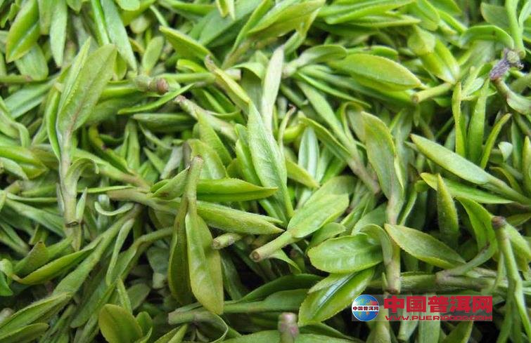 普洱茶
