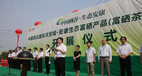普洱茶