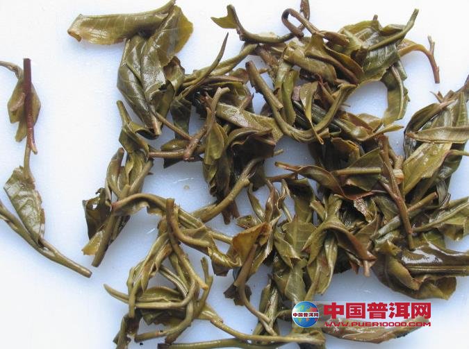 普洱茶
