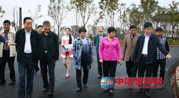 普洱茶