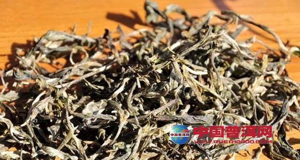 普洱茶