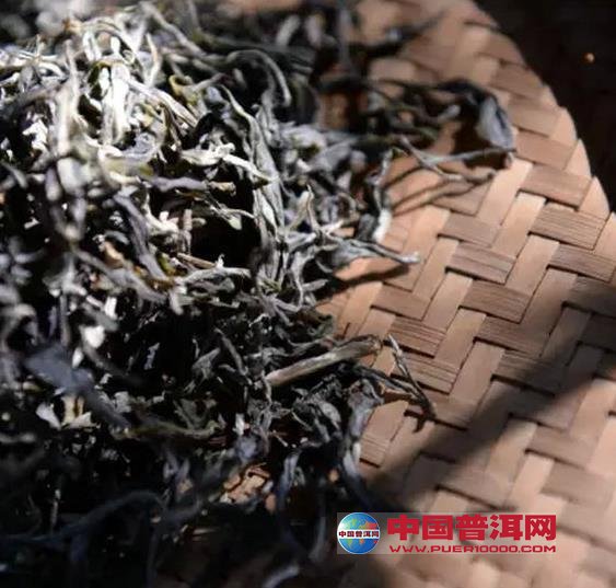普洱茶