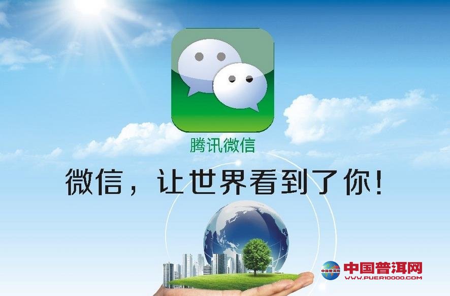 普洱茶