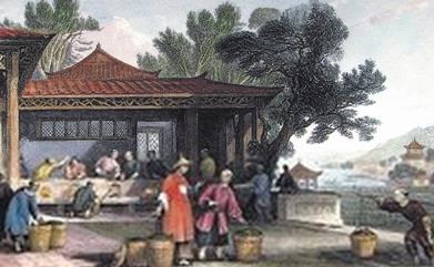 <u><a href='http://www.puer10000.com/puerzhishi/32854.html' target='_blank'>普洱<u><a href='http://www.puer10000.com/puerzhishi/100997.html' target='_blank'>茶</a></u></a></u>