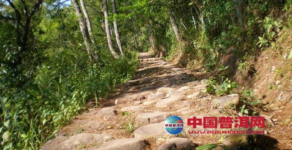 <u><a href='http://www.puer10000.com/puerzhishi/32854.html' target='_blank'>普洱<u><a href='http://www.puer10000.com/puerzhishi/100997.html' target='_blank'>茶</a></u></a></u>