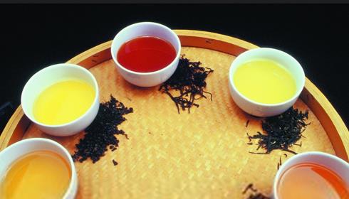 普洱茶