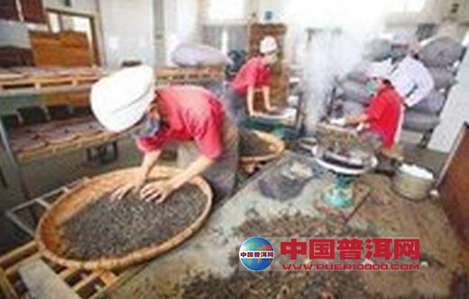 普洱茶