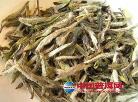 <u><a href='http://www.puer10000.com/puerzhishi/32854.html' target='_blank'>普洱<u><a href='http://www.puer10000.com/puerzhishi/100997.html' target='_blank'>茶</a></u></a></u>