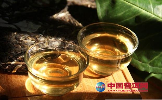 普洱茶