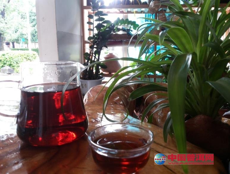 普洱茶