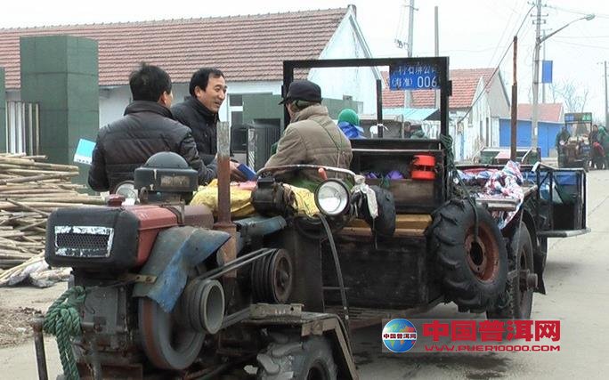 普洱茶