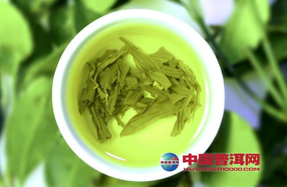 普洱茶