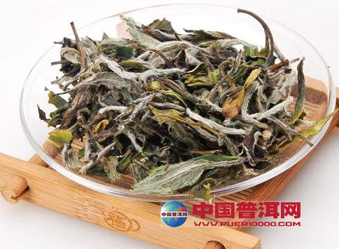 <u><a href='http://www.puer10000.com/puerzhishi/32854.html' target='_blank'>ն<u><a href='http://www.puer10000.com/puerzhishi/100997.html' target='_blank'></a></u></a></u>