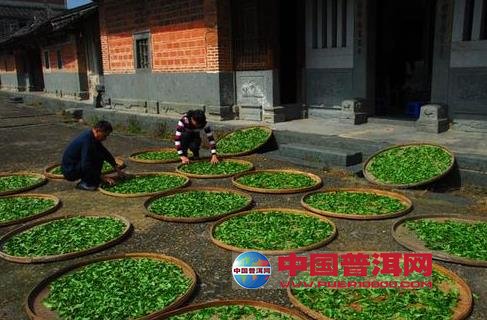 <u><a href='http://www.puer10000.com/puerzhishi/32854.html' target='_blank'>普洱<u><a href='http://www.puer10000.com/puerzhishi/100997.html' target='_blank'>茶</a></u></a></u>