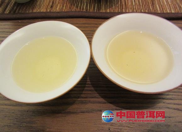 普洱茶