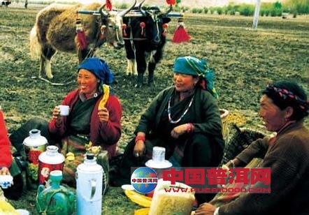 <u><a href='http://www.puer10000.com/puerzhishi/32854.html' target='_blank'>普洱<u><a href='http://www.puer10000.com/puerzhishi/100997.html' target='_blank'>茶</a></u></a></u>