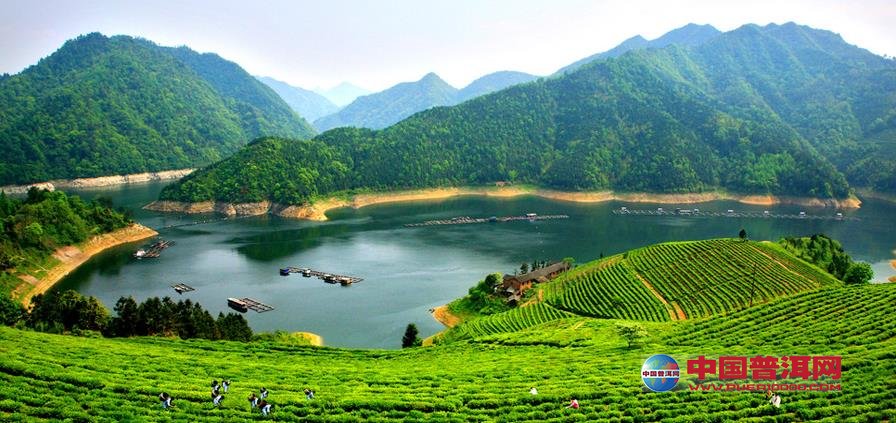 <u><a href='http://www.puer10000.com/puerzhishi/32854.html' target='_blank'>普洱<u><a href='http://www.puer10000.com/puerzhishi/100997.html' target='_blank'>茶</a></u></a></u>
