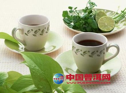 普洱茶