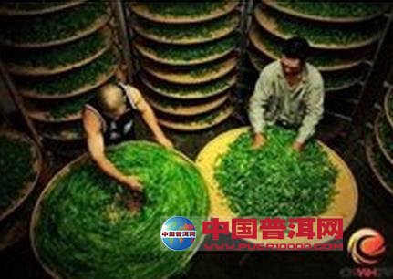 <u><a href='http://www.puer10000.com/puerzhishi/32854.html' target='_blank'>普洱<u><a href='http://www.puer10000.com/puerzhishi/100997.html' target='_blank'>茶</a></u></a></u>