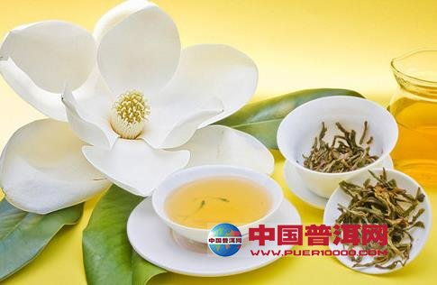 普洱茶