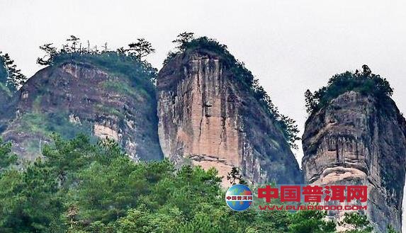 <u><a href='http://www.puer10000.com/puerzhishi/32854.html' target='_blank'>ն<u><a href='http://www.puer10000.com/puerzhishi/100997.html' target='_blank'></a></u></a></u>