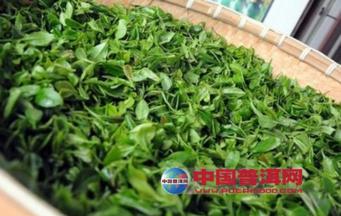 普洱茶