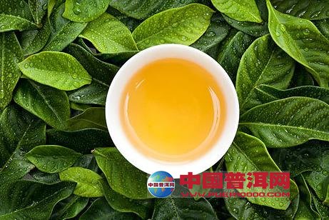 普洱茶