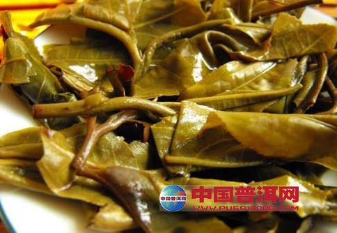 普洱茶