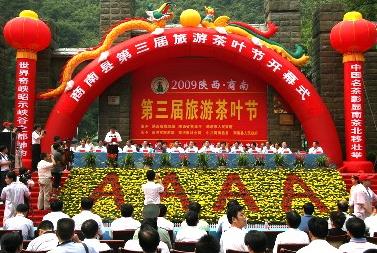 普洱茶