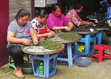 普洱茶