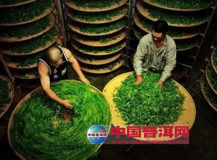 <u><a href='http://www.puer10000.com/puerzhishi/32854.html' target='_blank'>普洱<u><a href='http://www.puer10000.com/puerzhishi/100997.html' target='_blank'>茶</a></u></a></u>