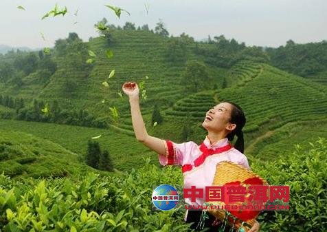 <u><a href='http://www.puer10000.com/puerzhishi/32854.html' target='_blank'>ն<u><a href='http://www.puer10000.com/puerzhishi/100997.html' target='_blank'></a></u></a></u>