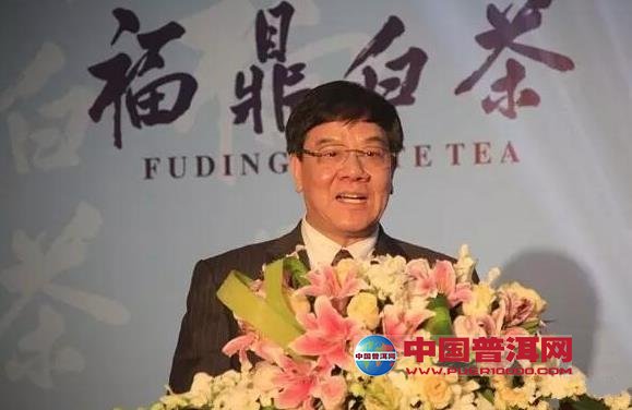 普洱茶