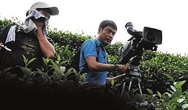 普洱茶