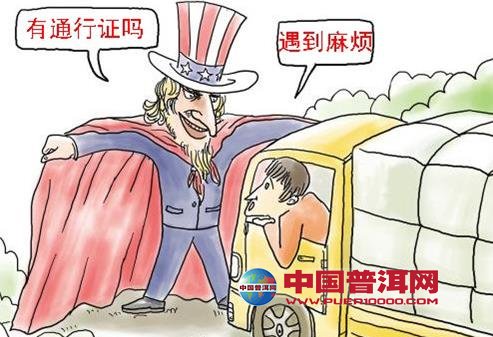 普洱茶