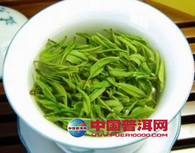 普洱茶