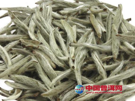 普洱茶
