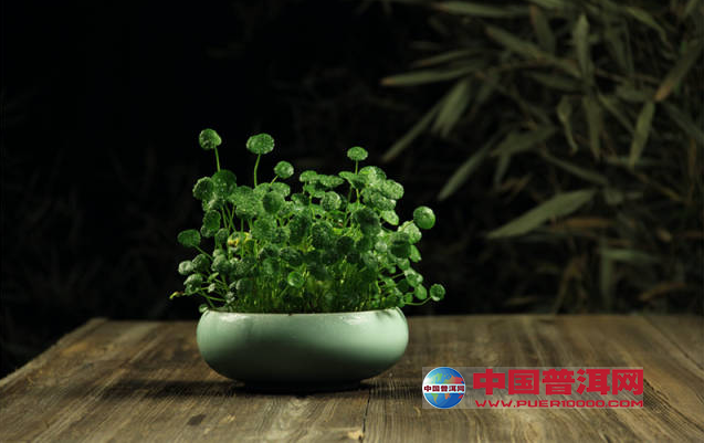 <u><a href='http://www.puer10000.com/puerzhishi/32854.html' target='_blank'>ն<u><a href='http://www.puer10000.com/puerzhishi/100997.html' target='_blank'></a></u></a></u>