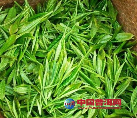 普洱茶