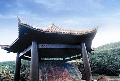 <u><a href='http://www.puer10000.com/puerzhishi/32854.html' target='_blank'>普洱<u><a href='http://www.puer10000.com/puerzhishi/100997.html' target='_blank'>茶</a></u></a></u>