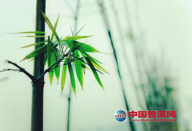 <u><a href='http://www.puer10000.com/puerzhishi/32854.html' target='_blank'>ն<u><a href='http://www.puer10000.com/puerzhishi/100997.html' target='_blank'></a></u></a></u>