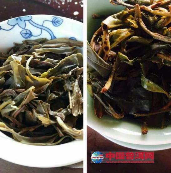 普洱茶